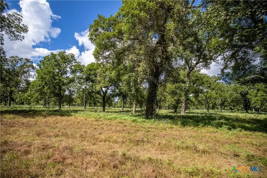000 Fm 766, Cuero, TX 77954, Cuero, Texas, United States. - Photo 30