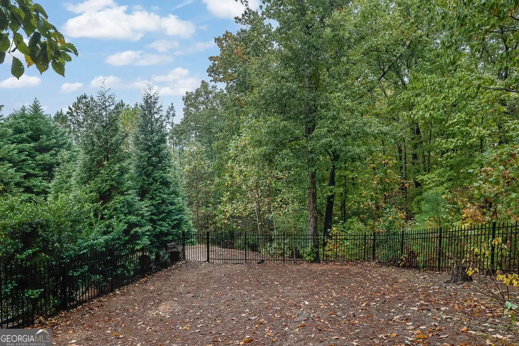 Smyrna, Georgia, United States. - Photo 43