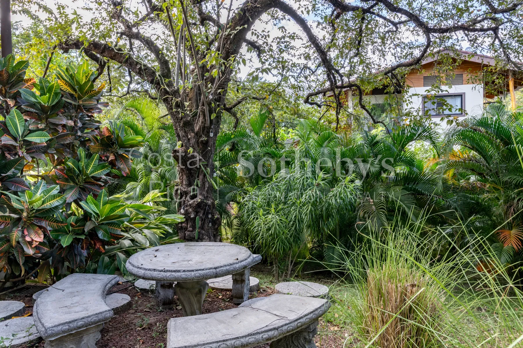 Gallery photo 5