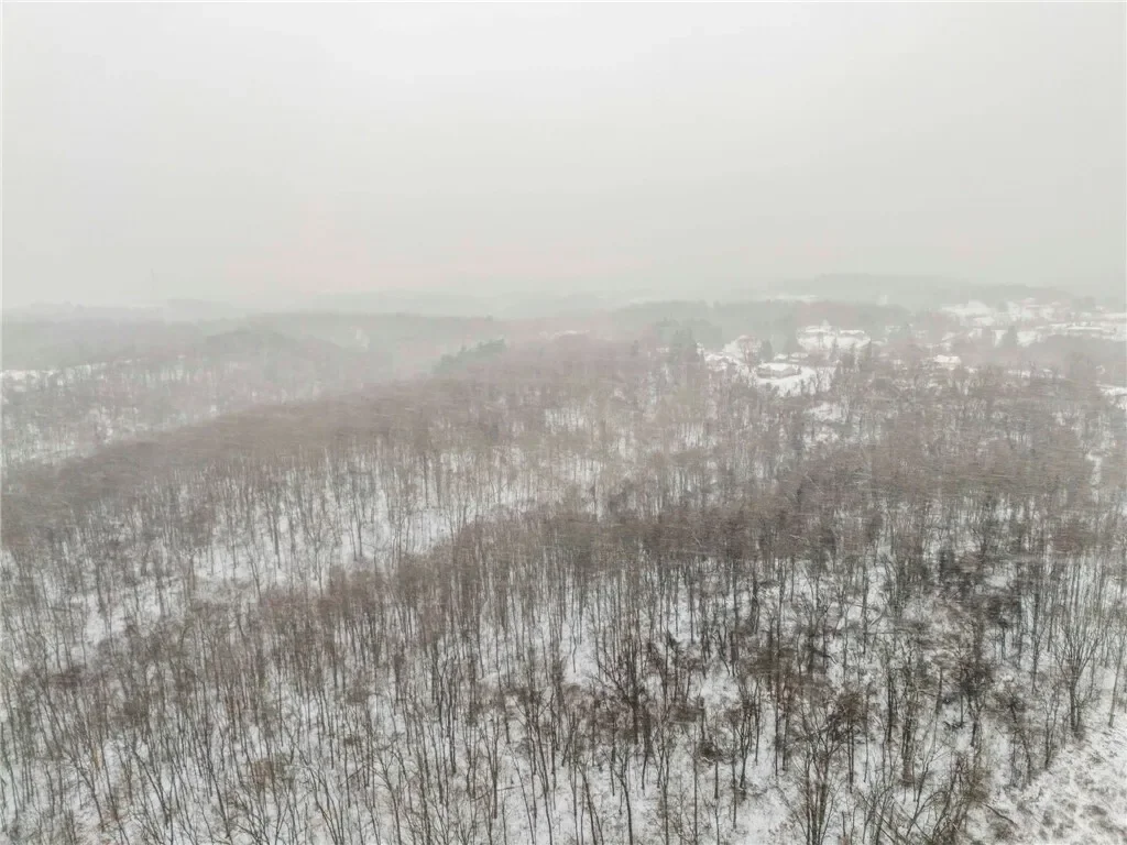 0 Spring Run Rd Ext, Coraopolis, PA 15108, Coraopolis, Pennsylvania, United States. - Photo 9
