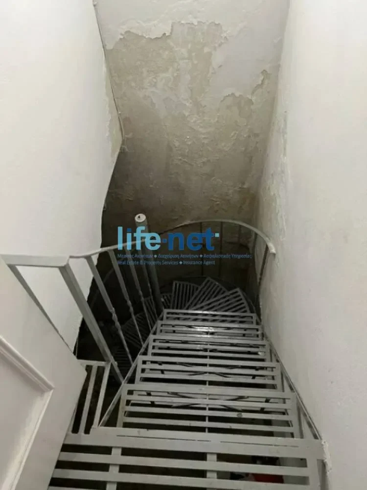 Gallery photo 11