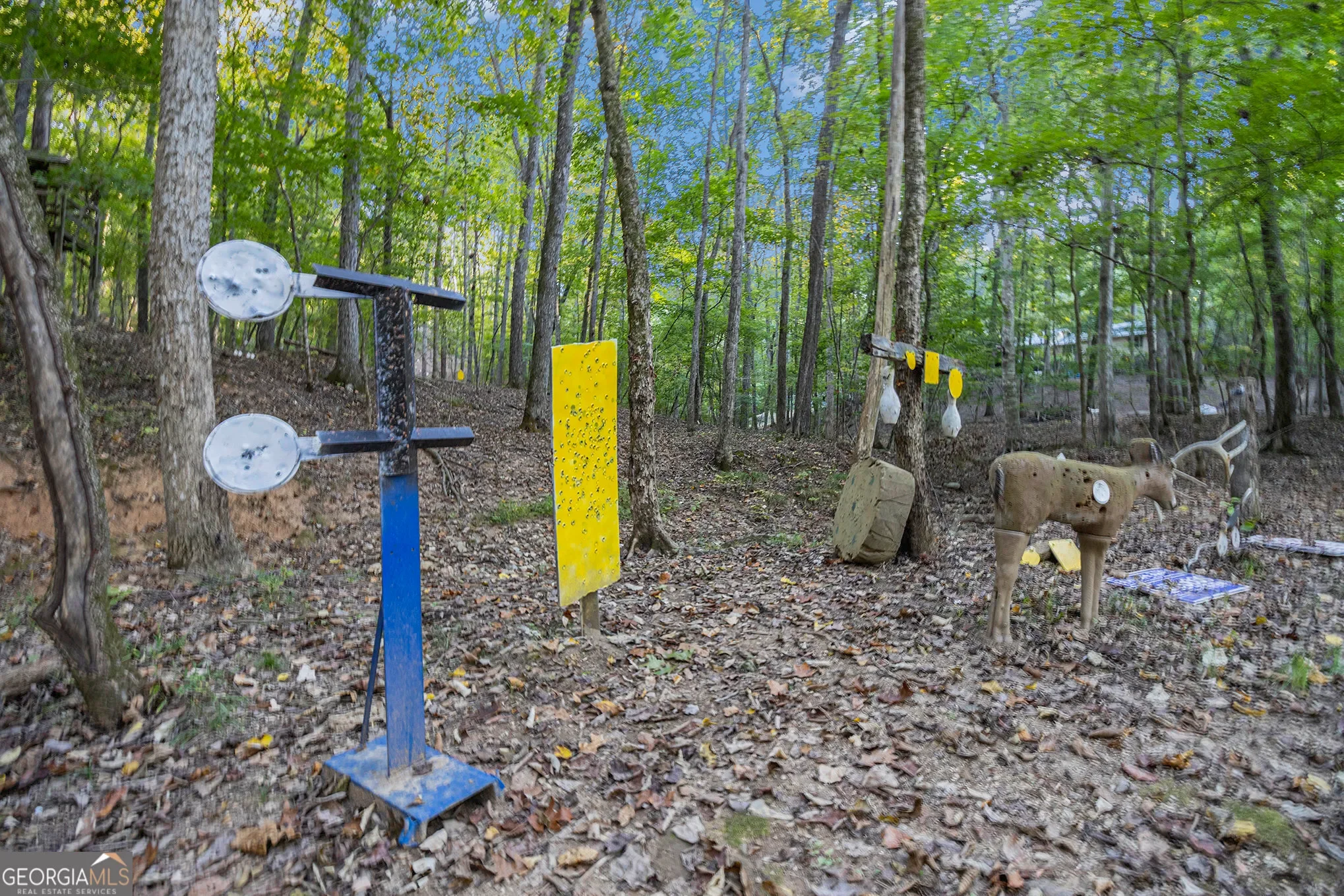 Aragon, Georgia, United States. - Photo 35