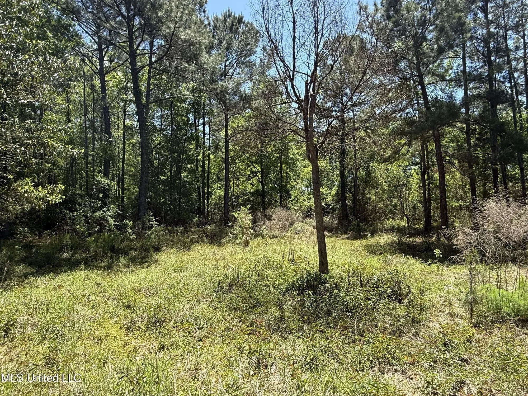 7701 Bienville Boulevard lot: 90 90, Ocean Springs, MS 39564, Ocean Springs, Mississippi, United States. - Photo 27
