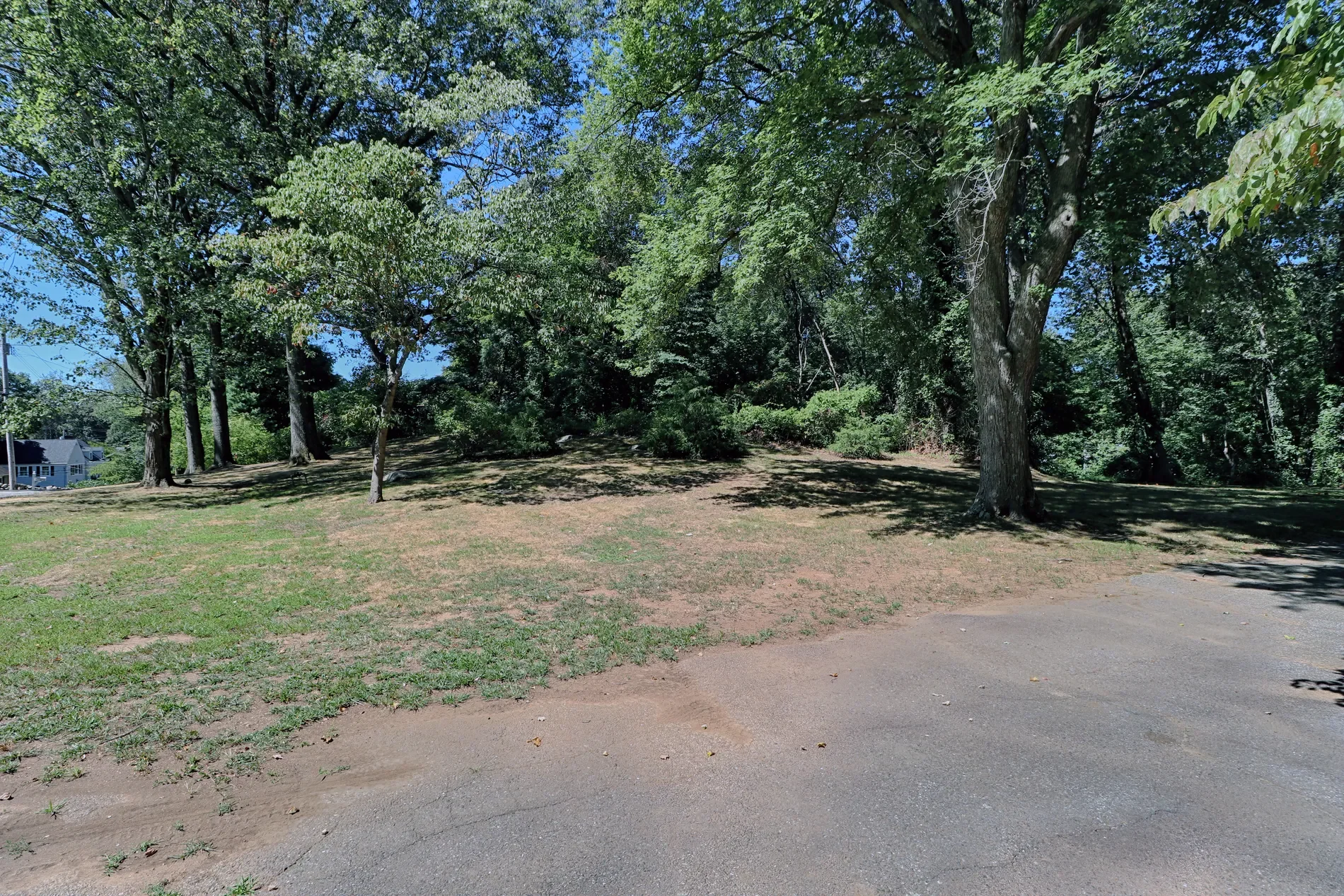 Gallery photo 5