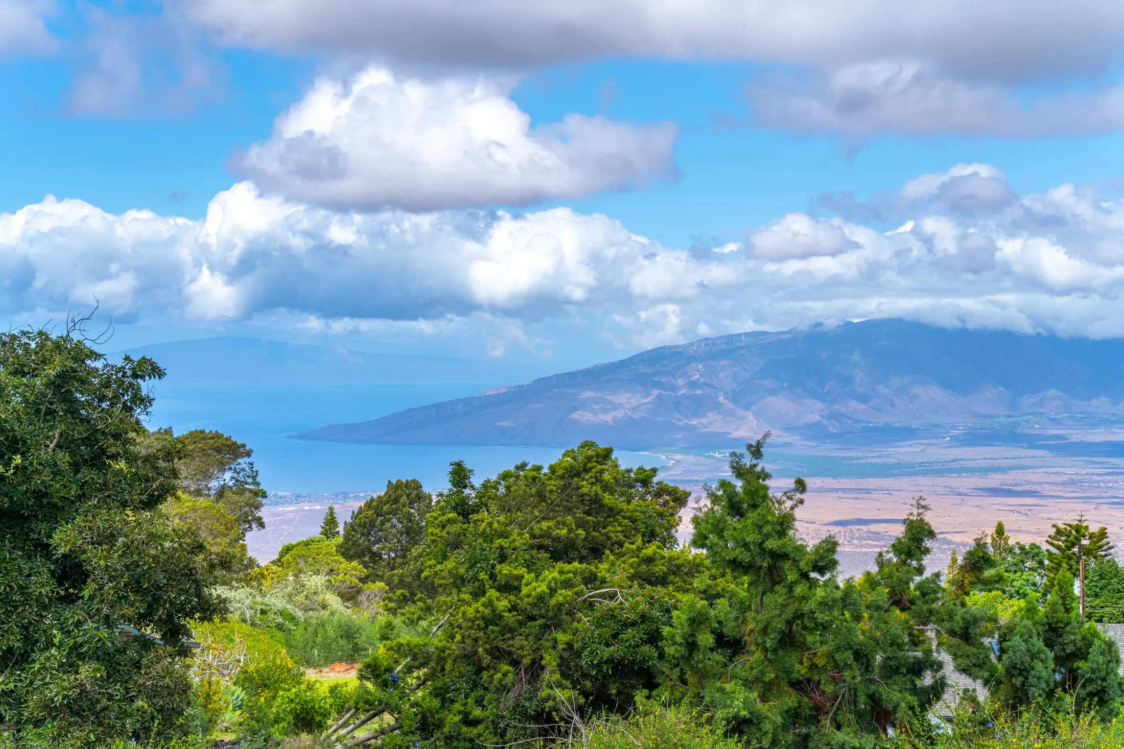 850 Kekaulike Avenue, Unit B, Kula, HI 96790, Kula, Hawaii, United States. - Photo 2