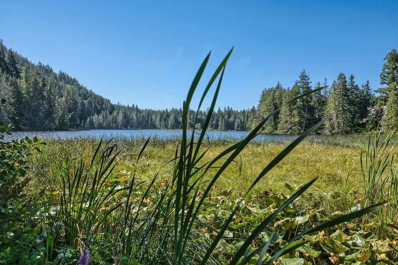 12800-12810 Mainsail Road, Madeira Park, BC V0N 2H1, Madeira Park, British Columbia, Canada. - Photo 27