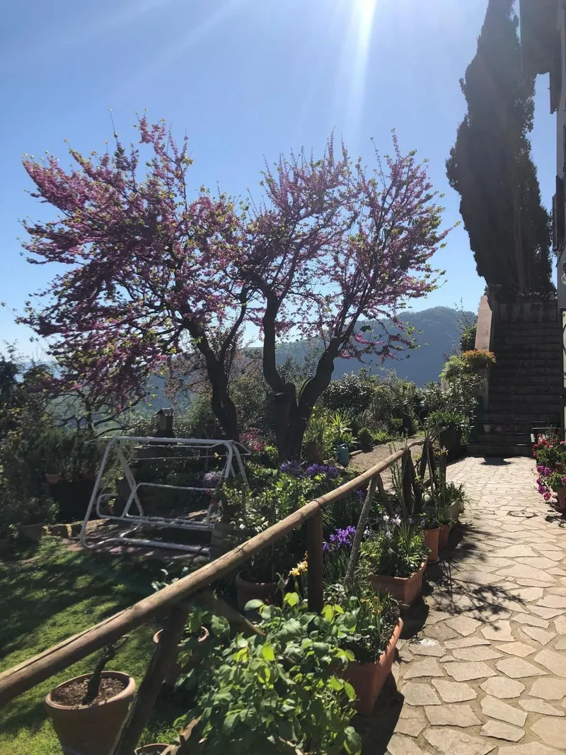 55100 Pieve di Brancoli, Province of Lucca, Italy, Pieve di Brancoli, Tuscany, Italy. - Photo 38