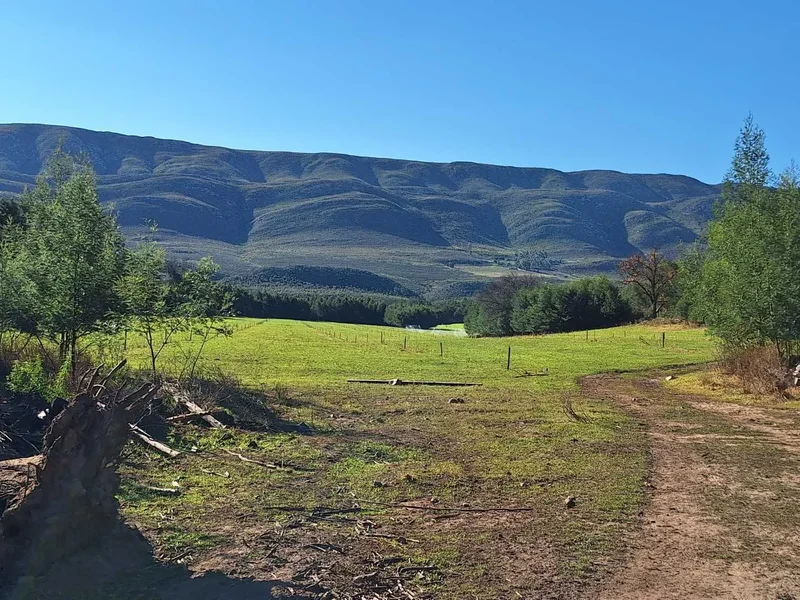 George, Western Cape, South Africa. - Photo 30