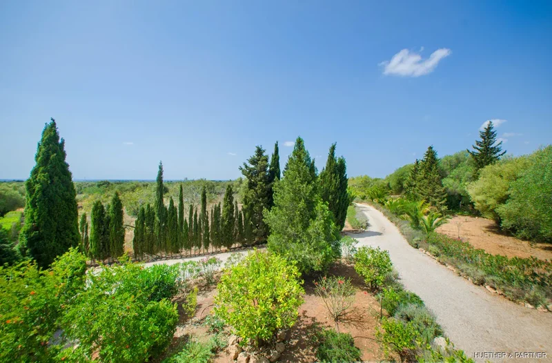 Poligono 9, parcela, Llucmajor, Balearic Islands, Spain. - Photo 22
