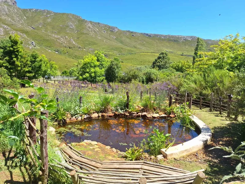 George, Western Cape, South Africa. - Photo 32