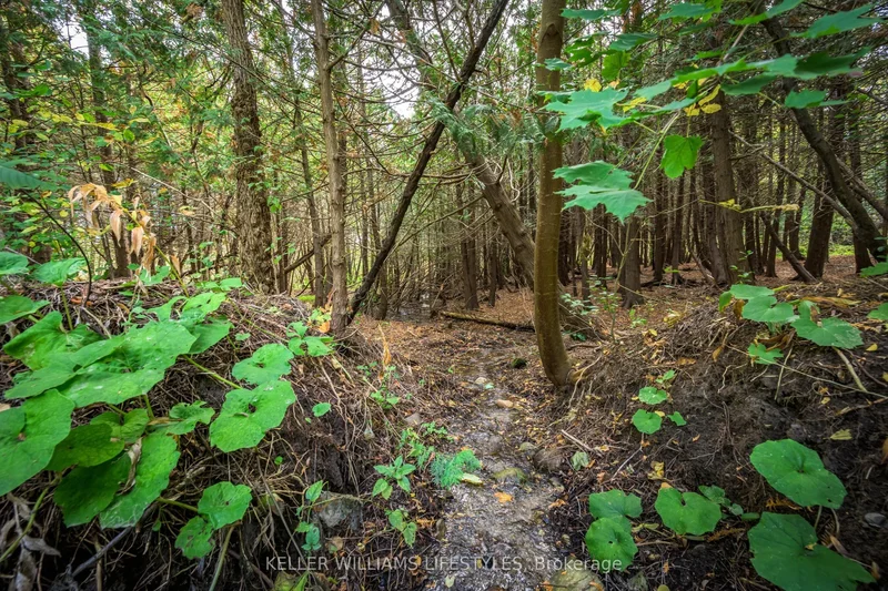 15083 Medway Road, Middlesex Centre, ON N0M 1C0, Arva, Ontario, Canada. - Photo 35