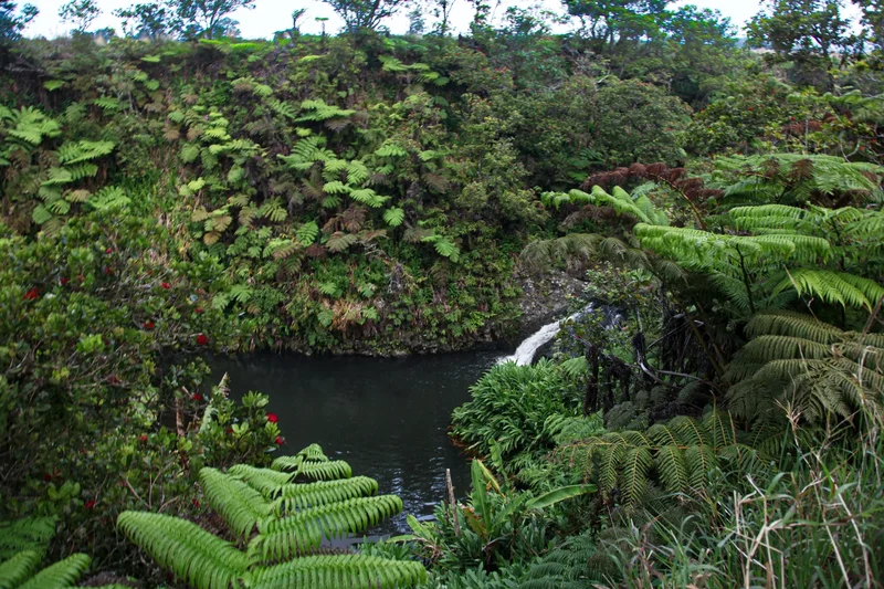 47-5343 W. Waikoekoe Ln., Waimea, Hawaii, United States. - Photo 6