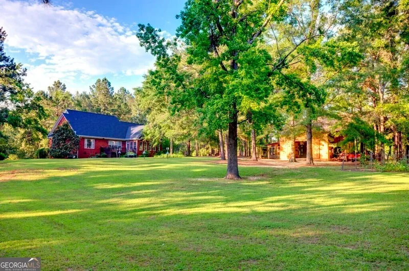 Midville, Georgia, United States. - Photo 44