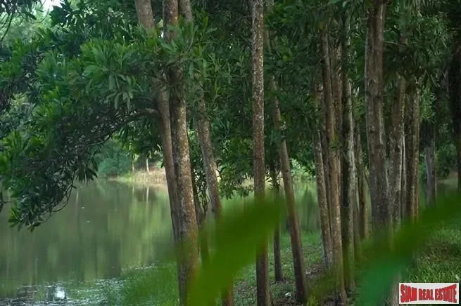 Phang Nga,, Thai Mueang, Phang-nga, Thailand. - Photo 5