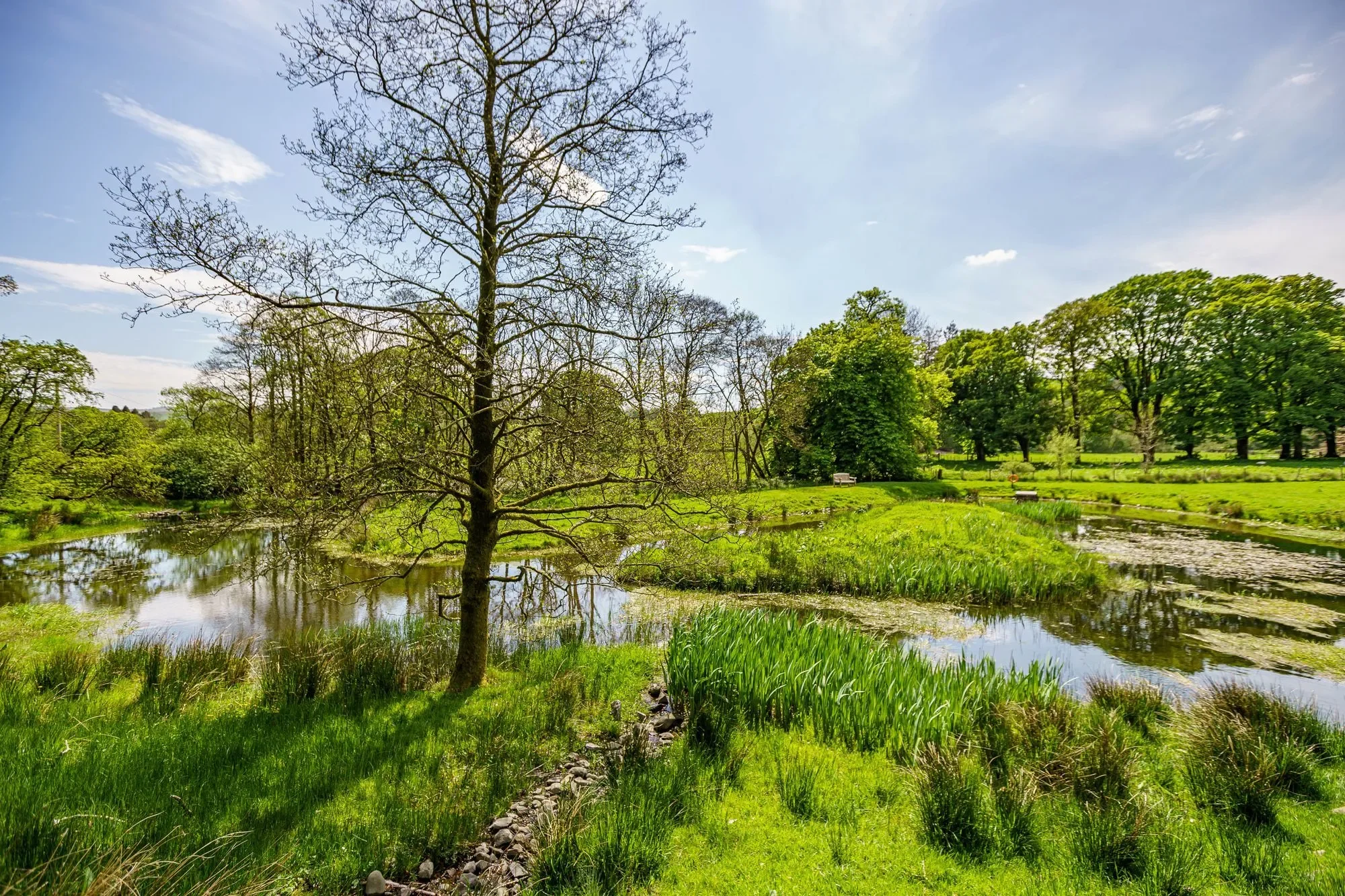 Moniaive, Thornhill, Thornhill, Scotland, United Kingdom. - Photo 5