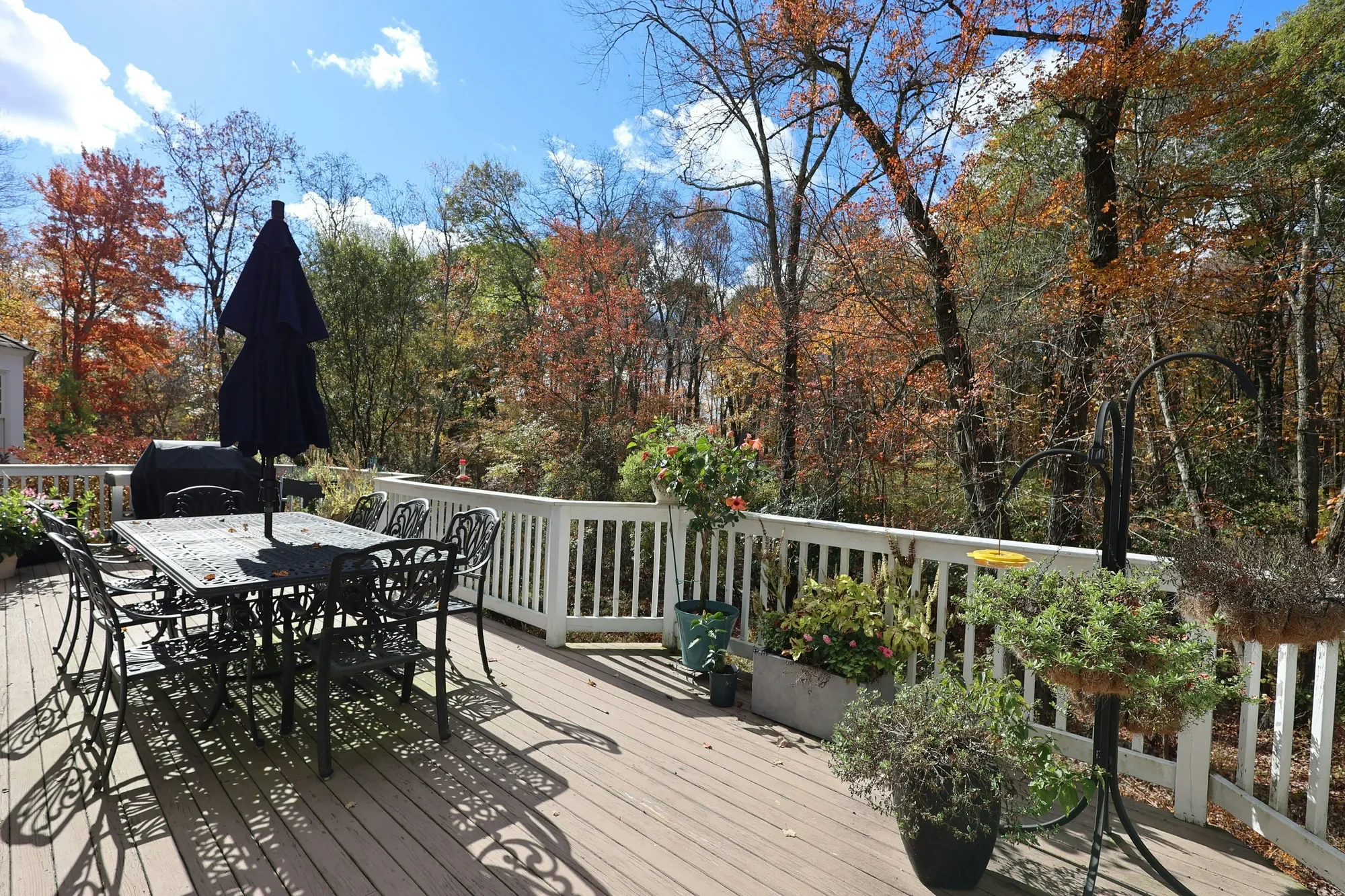 Gallery photo 8