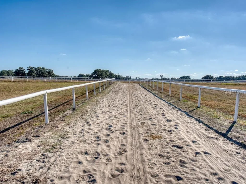 1345 NE 155 PLACE, Reddick, Florida, United States. - Photo 8
