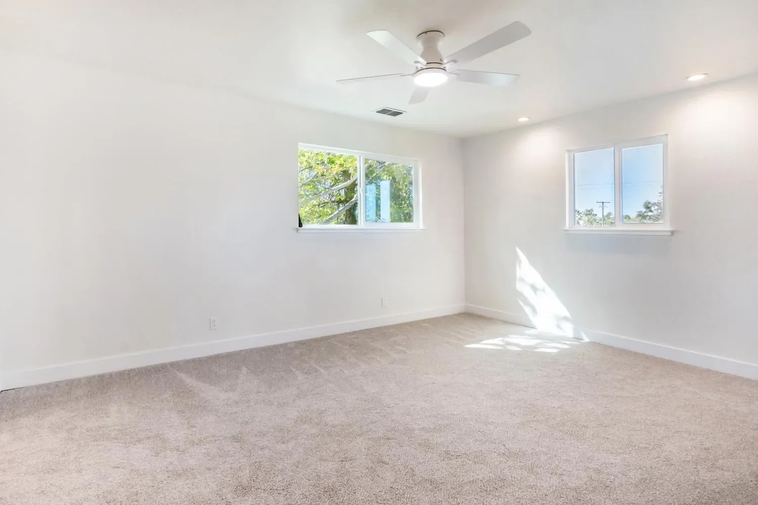 Gallery photo 7