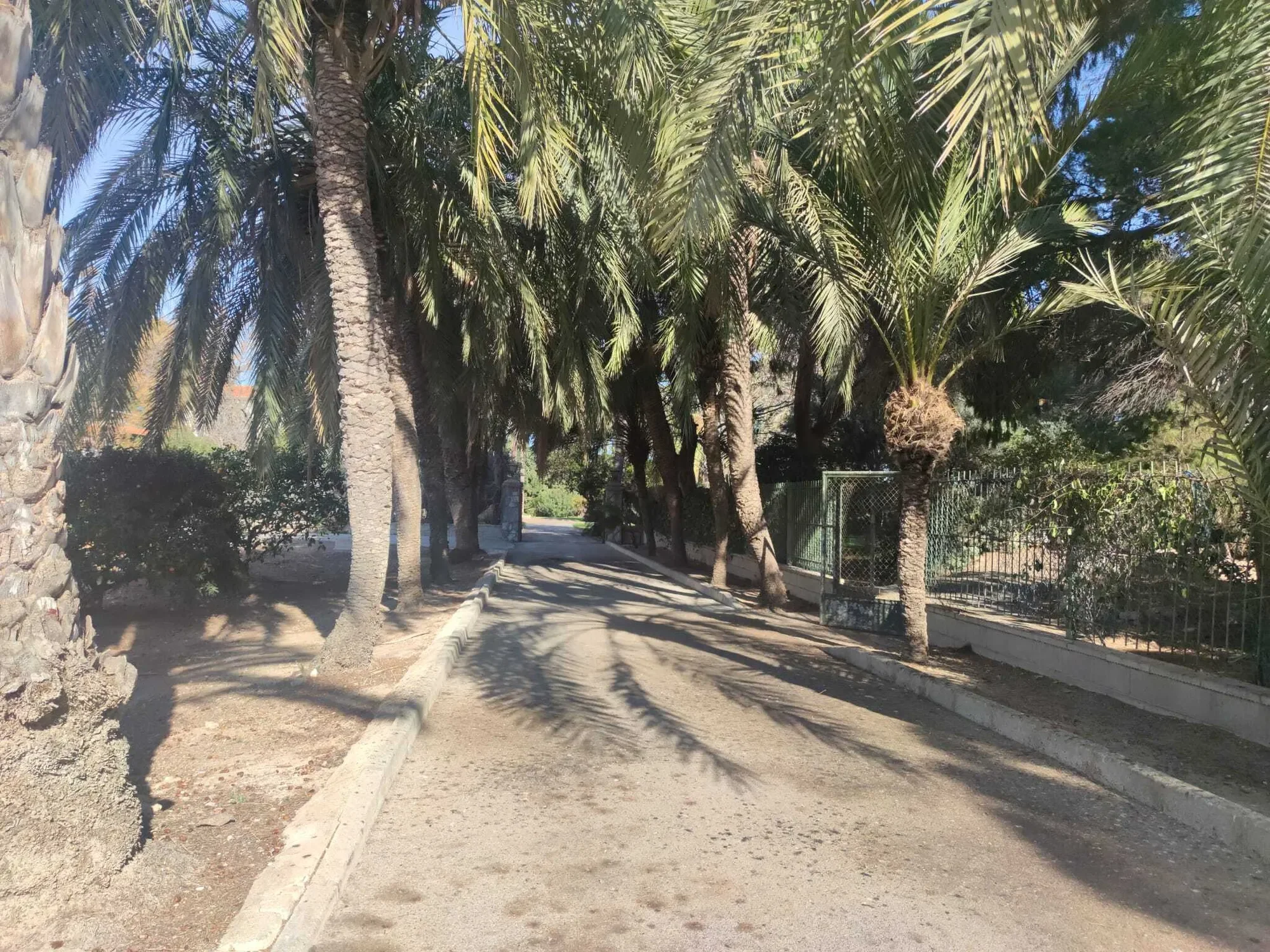 30740 San Pedro del Pinatar, Murcia, Spain, San Pedro del Pinatar, Region of Murcia, Spain. - Photo 43
