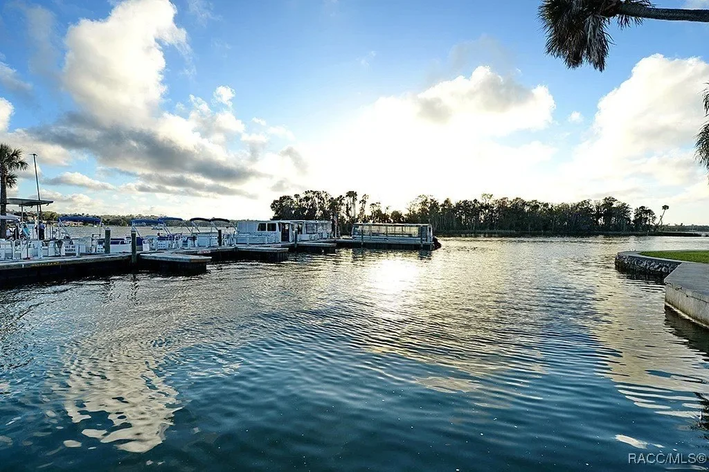 1154 NE 1st Street, Crystal River, FL 34429, Crystal River, Florida, United States. - Photo 43