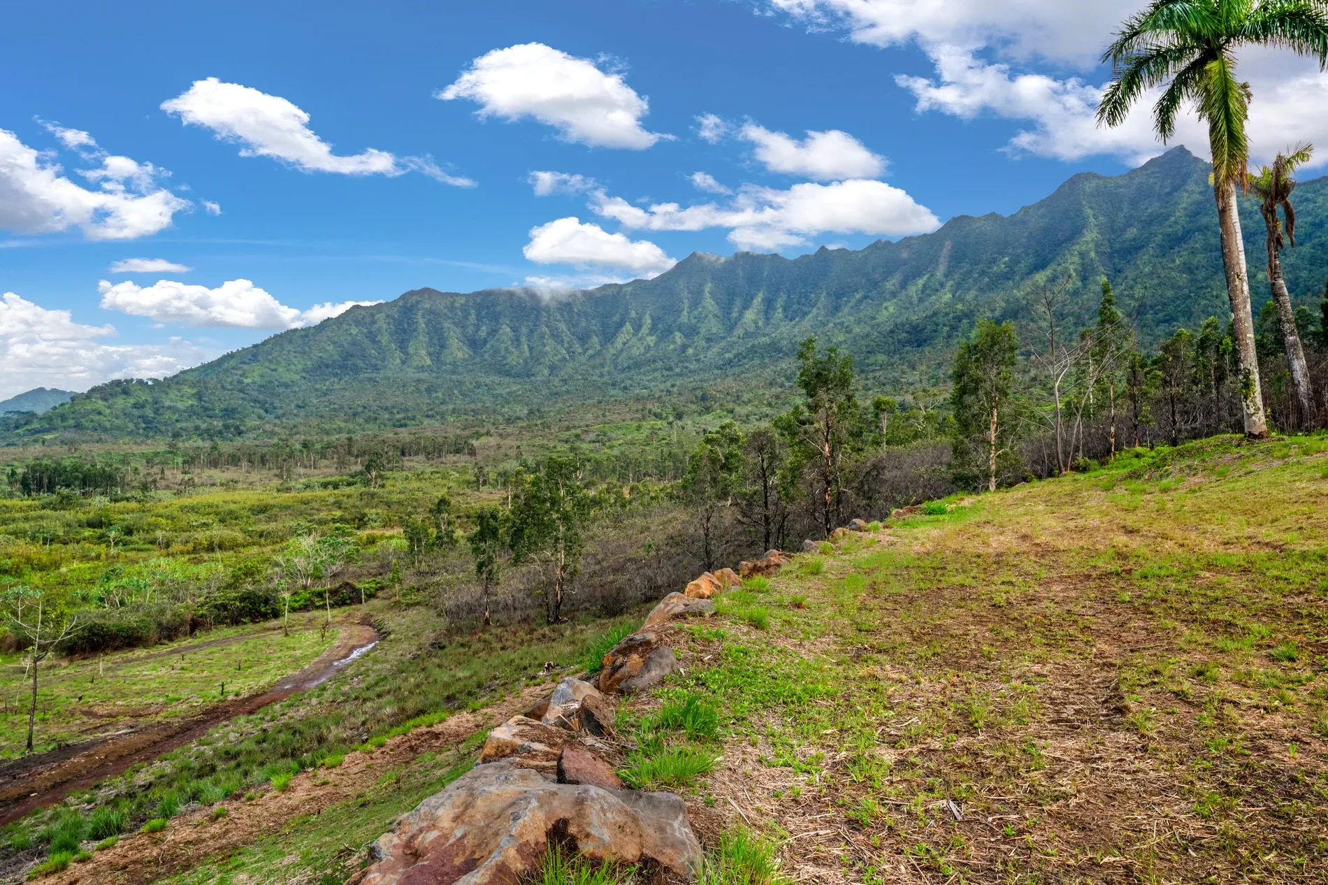 2818 KAMOOKOA RD, #5, Kilauea, HI, 96722, USA, Kilauea, Hawaii, United States. - Hero Image