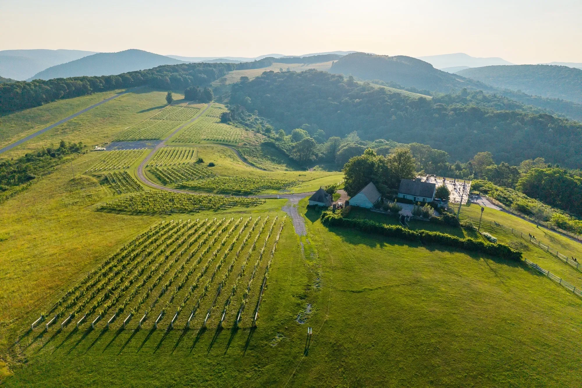 24981 Blue Ridge Parkway, Vesuvius, VA 22032, Vesuvius, Virginia, United States. - Photo 50