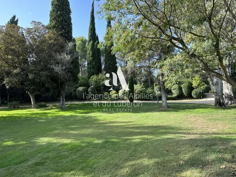 Maussane-les-Alpilles, Provence-Alpes-Côte d'Azur, France. - Photo 9