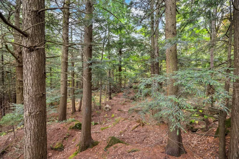 1268 Route Marie-Victorin, Levis, Quebec, Canada. - Photo 10