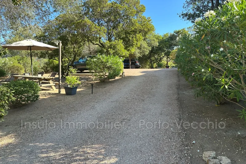 Figari, Corsica, France. - Photo 6
