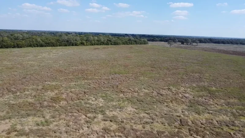Tbd SW CR 3160, Dawson, TX 76639, Hubbard, Texas, United States. - Photo 8