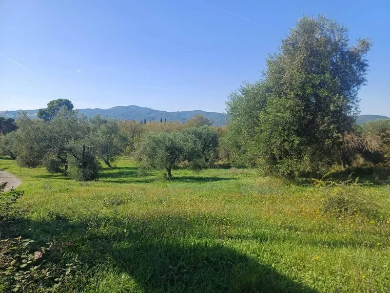 GIANNADES, Corfu, Peloponnese, Western Greece and the Ionian, Greece. - Photo 25