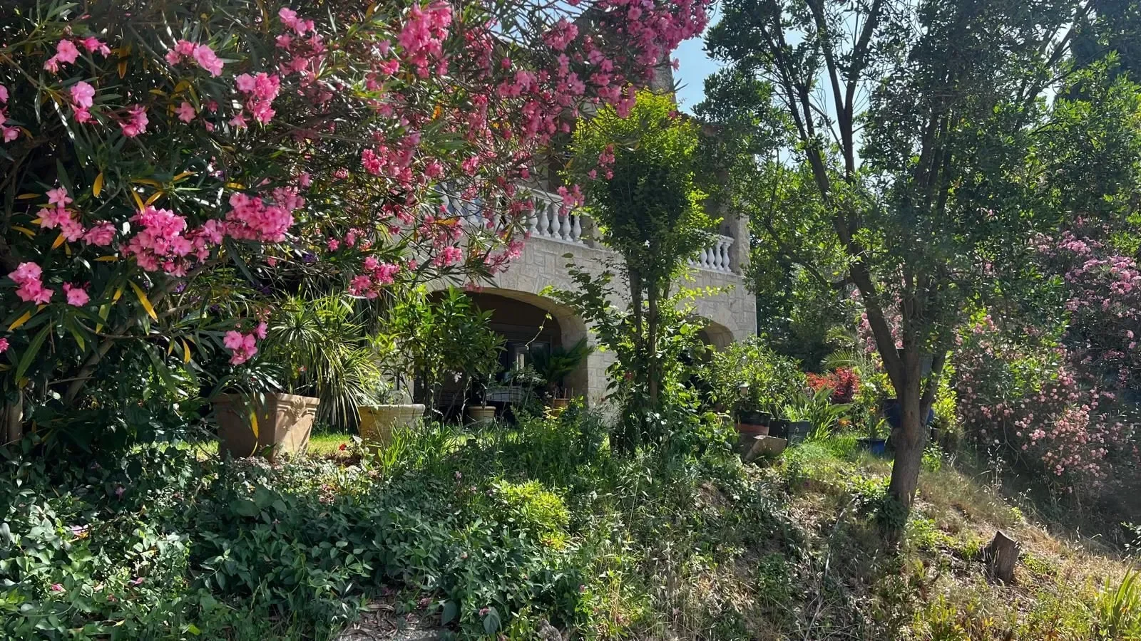 Exterior photo 5