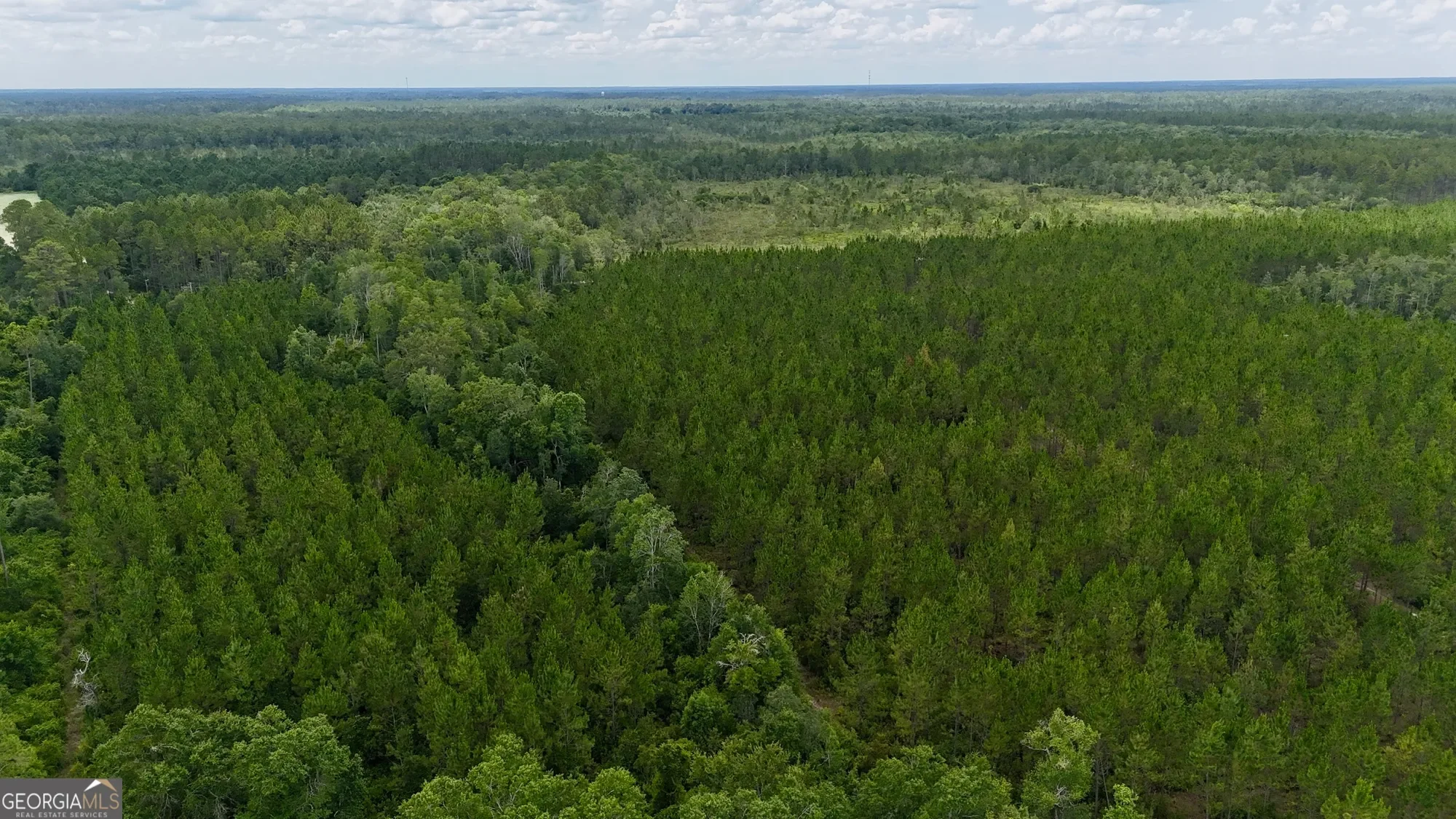 0 Fire Tower Road, Manor, GA 31550, Manor, Georgia, United States. - Photo 4