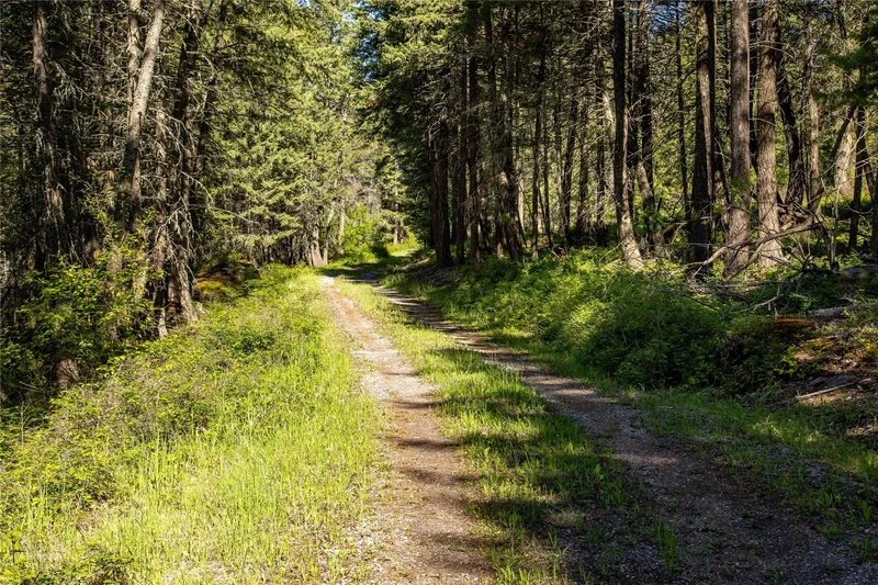 25 Starview Drive, Bigfork, MT 59911, Bigfork, Montana, United States. - Photo 16