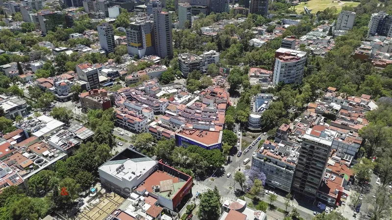 137 Lafontaine, Mexico City, Mexico. - Photo 21