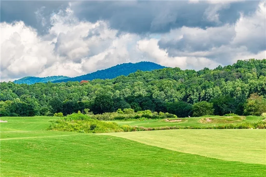 868 Old Owen Drive, Blairsville, Georgia, United States. - Photo 57