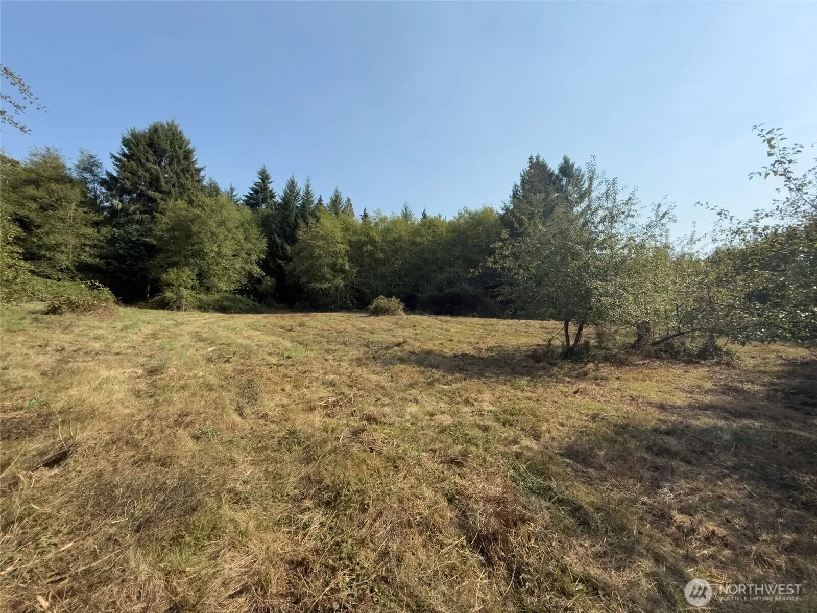 104 Bills Lane, Onalaska, WA 98570, Onalaska, Washington, United States. - Photo 8