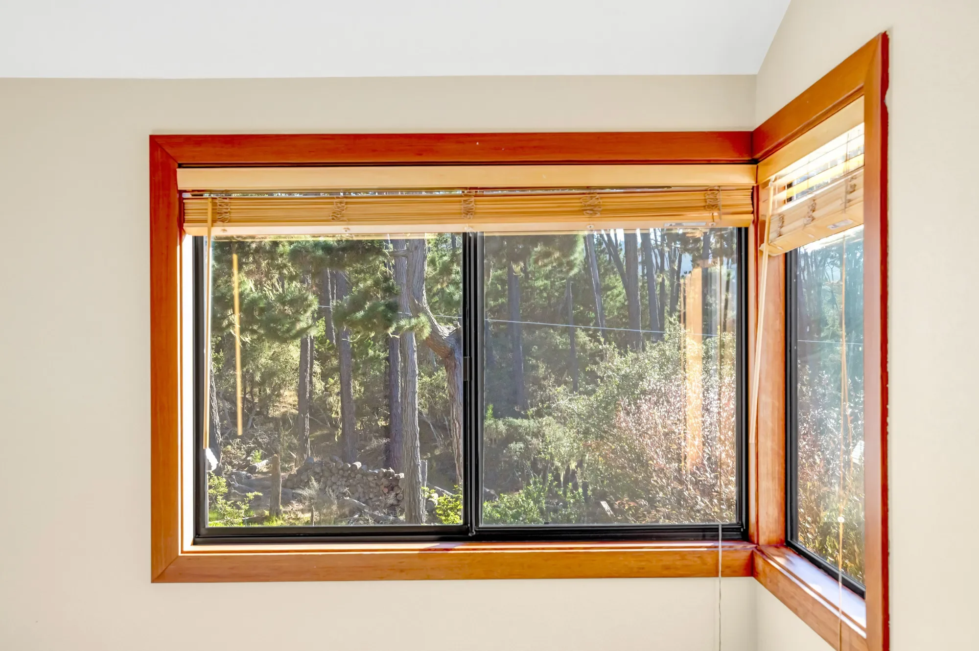1107 Austin Avenue, Pacific Grove, CA 93950, Pacific Grove, California, United States. - Photo 36