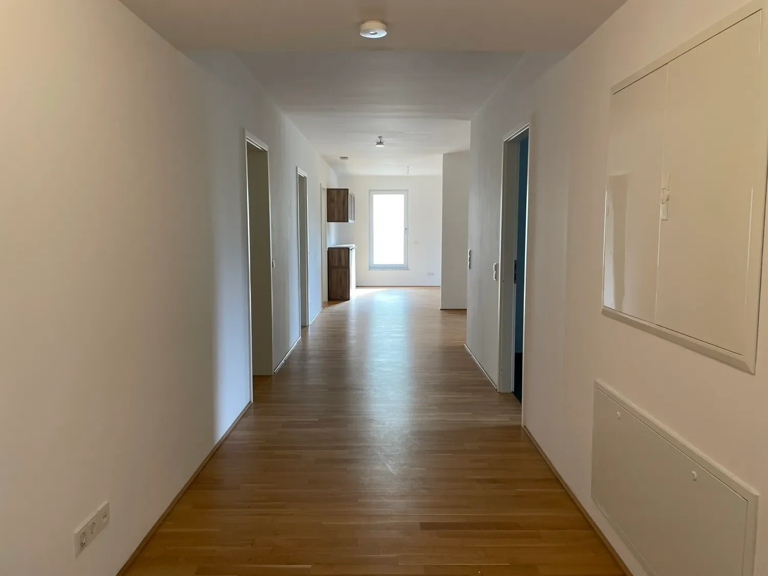 Gallery photo 7