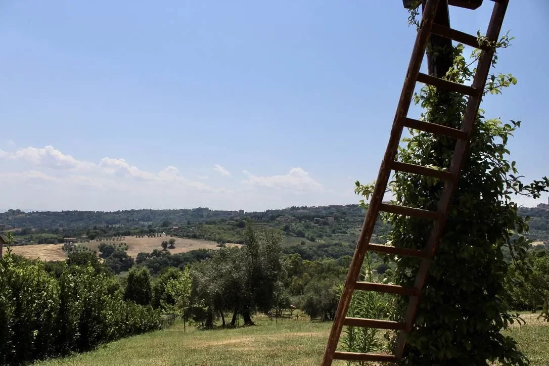 Montevile, Rancolfo, Umbria, Italy. - Photo 39