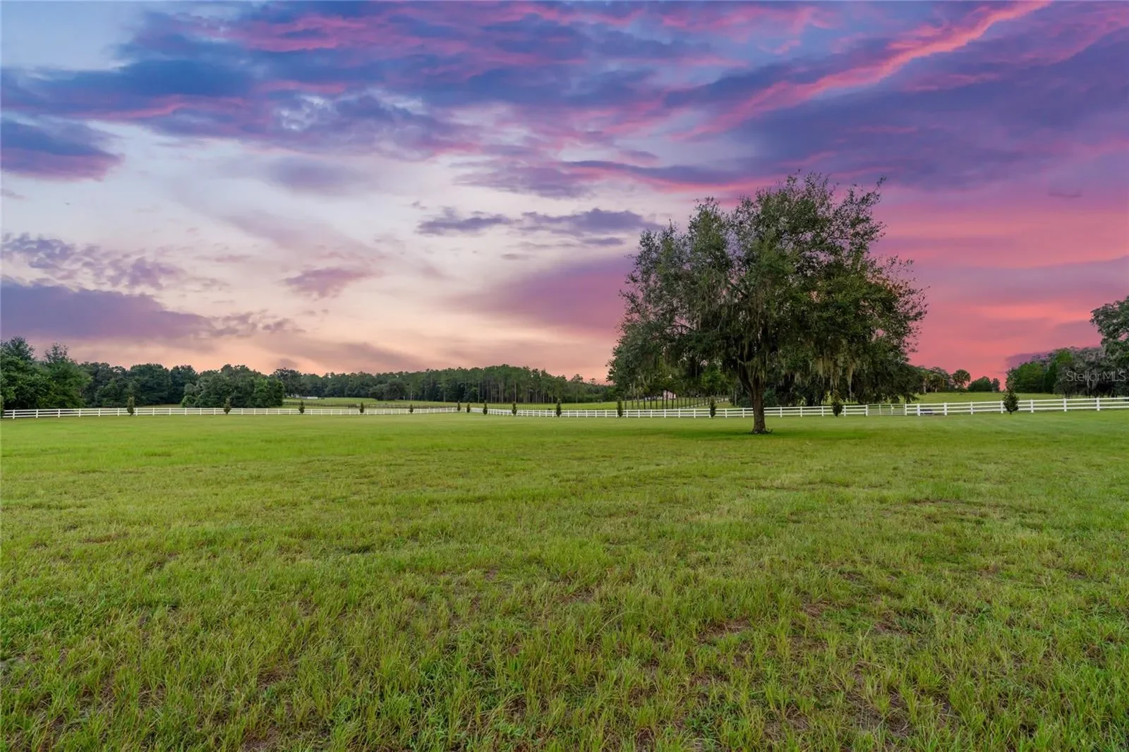 21679 SW 106TH LANE ROAD, Dunnellon, Florida, United States. - Photo 55