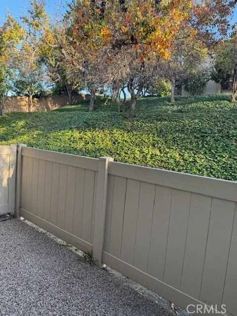 Gallery photo 6