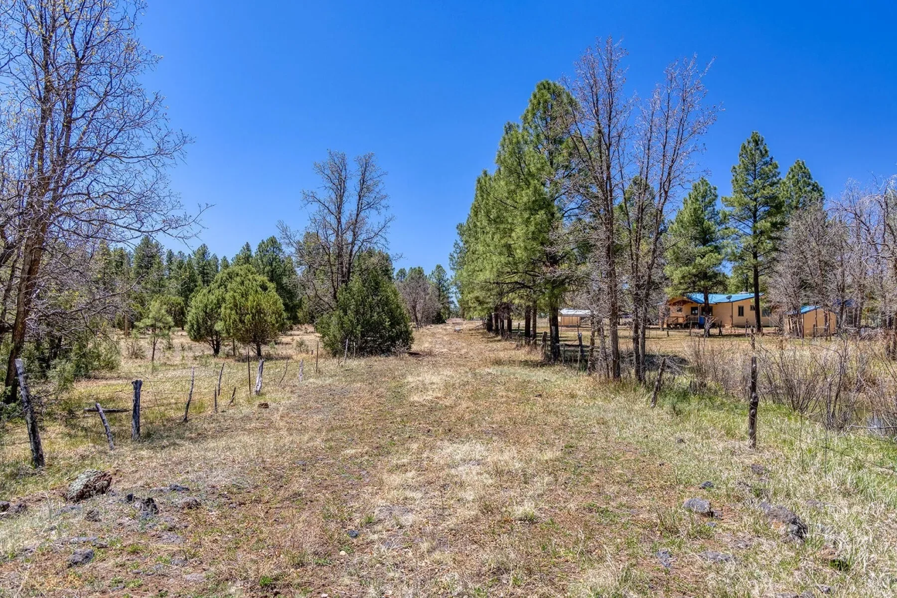 XXXX Larson Road , Pinetop-Lakeside, AZ 85259, Pinetop-Lakeside, Arizona, United States. - Photo 7