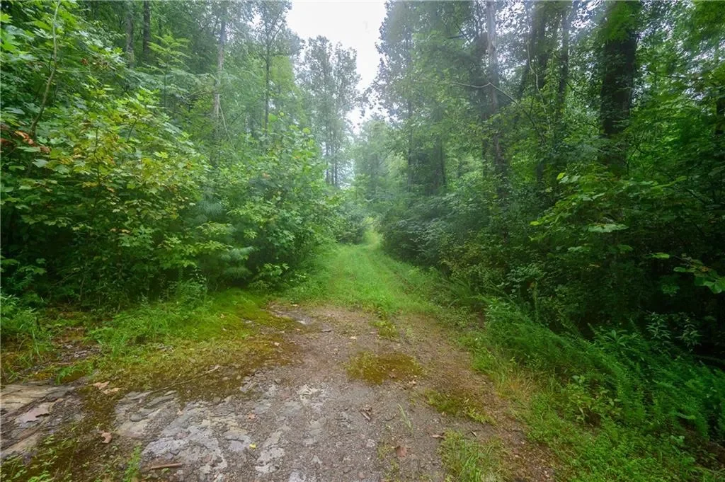 11094 Old 441 S, Lakemont, Georgia, United States. - Photo 1