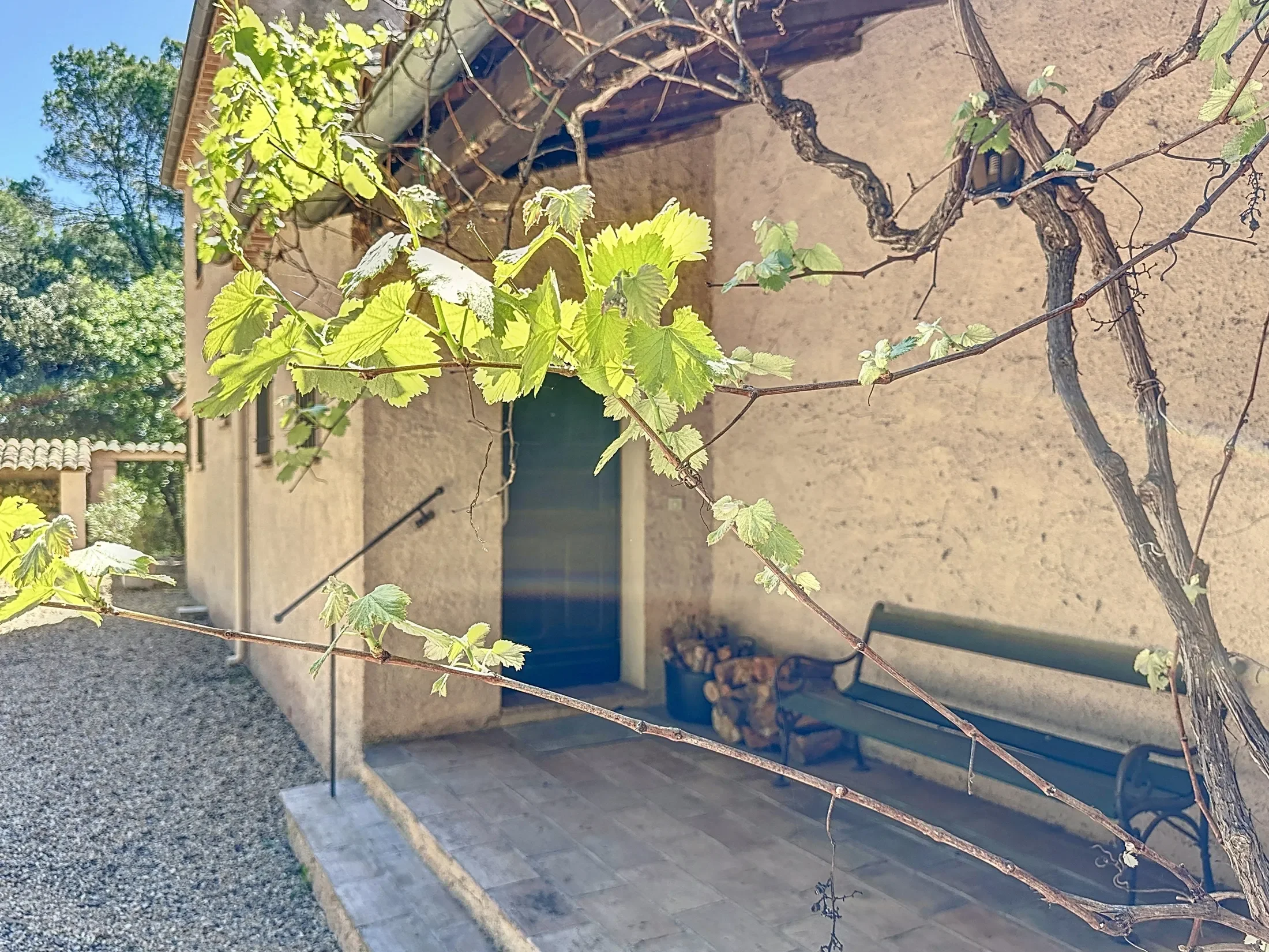 Exterior photo 12