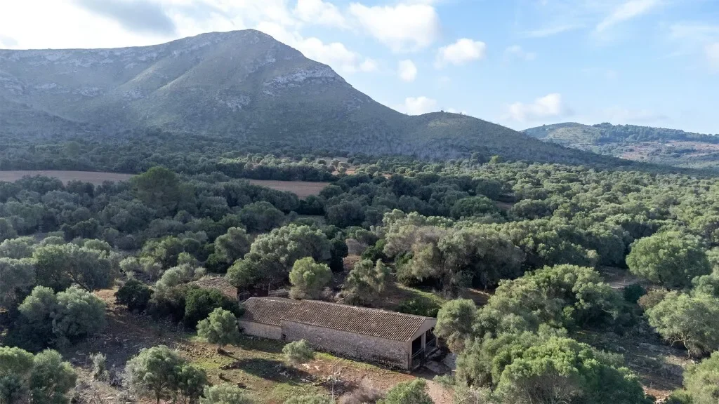 Baleares, Arta, Balearic Islands, Spain. - Photo 6