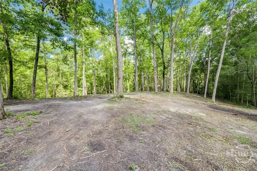 131 High Bluff Road, Rincon, Georgia, United States. - Photo 53