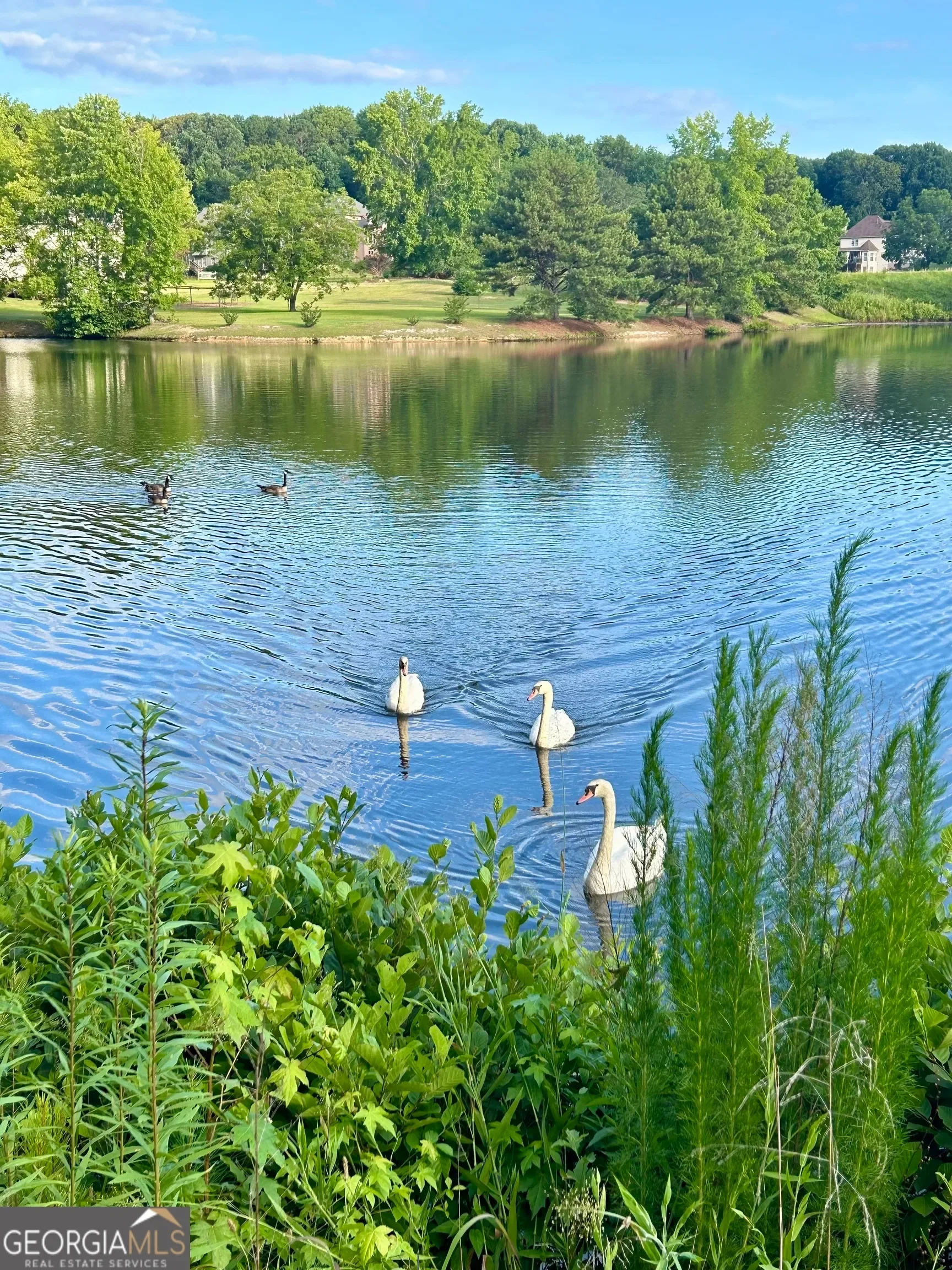 Lawrenceville, Georgia, United States. - Photo 62