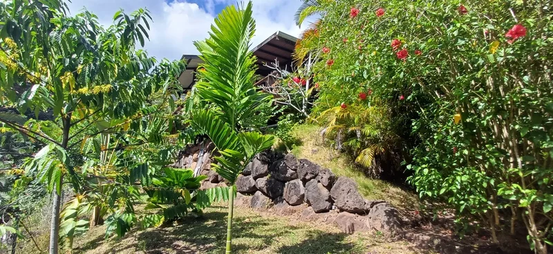 Punaauia, Punaauia, Puna'auia, Windward Islands, French Polynesia. - Photo 12