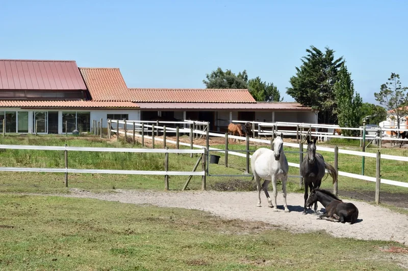 7630-174 S.Teotónio, Portugal, S.Teotónio, Beja District, Portugal. - Photo 19